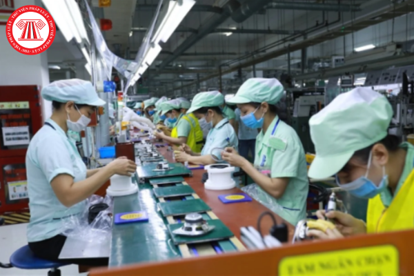Hướng dẫn báo cáo tình hình sử dụng lao động nước ngoài 6 tháng đầu năm 2025 tại TPHCM
