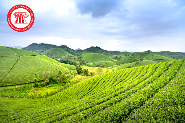 Thuế sử dụng đất nông nghiệp sẽ được miễn đến hết năm 2030