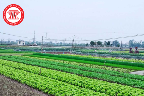 Đất nông nghiệp là gì? Thời hạn miễn thuế sử dụng đất nông nghiệp dự kiến ra sao?