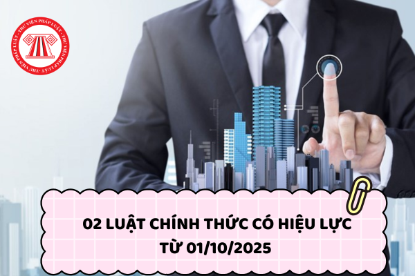 02 văn bản Luật chính thức có hiệu lực từ 01/10/2025 mà doanh nghiệp cần biết