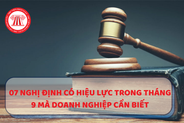 07 Nghị định có hiệu lực trong tháng 9 mà doanh nghiệp cần biết