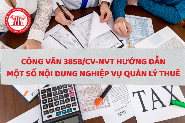 Tải về Công văn 3858/CV-NVT hướng dẫn một số nội dung nghiệp vụ quản lý thuế