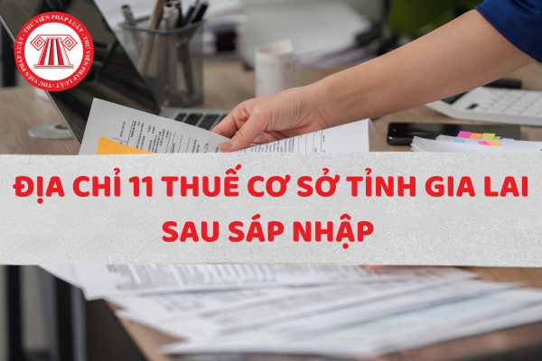 Tổng hợp địa chỉ thuế cơ sở tỉnh Gia Lai sau sáp nhập và địa bàn quản lý