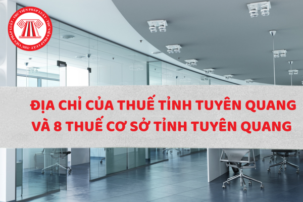 Địa chỉ 8 thuế cơ sở tỉnh Tuyên Quang sau sáp nhập và địa bàn quản lý