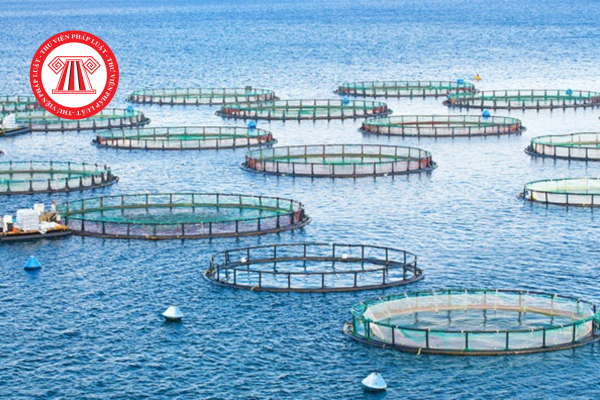 QCVN 100:2025/BNNMT về thức ăn thủy sản - Thức ăn tươi sống
