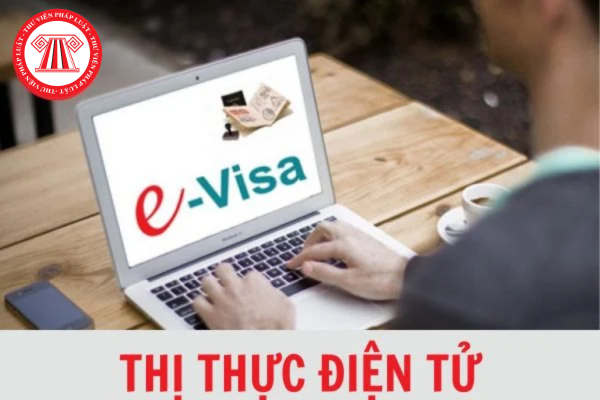 thị thực điện tử