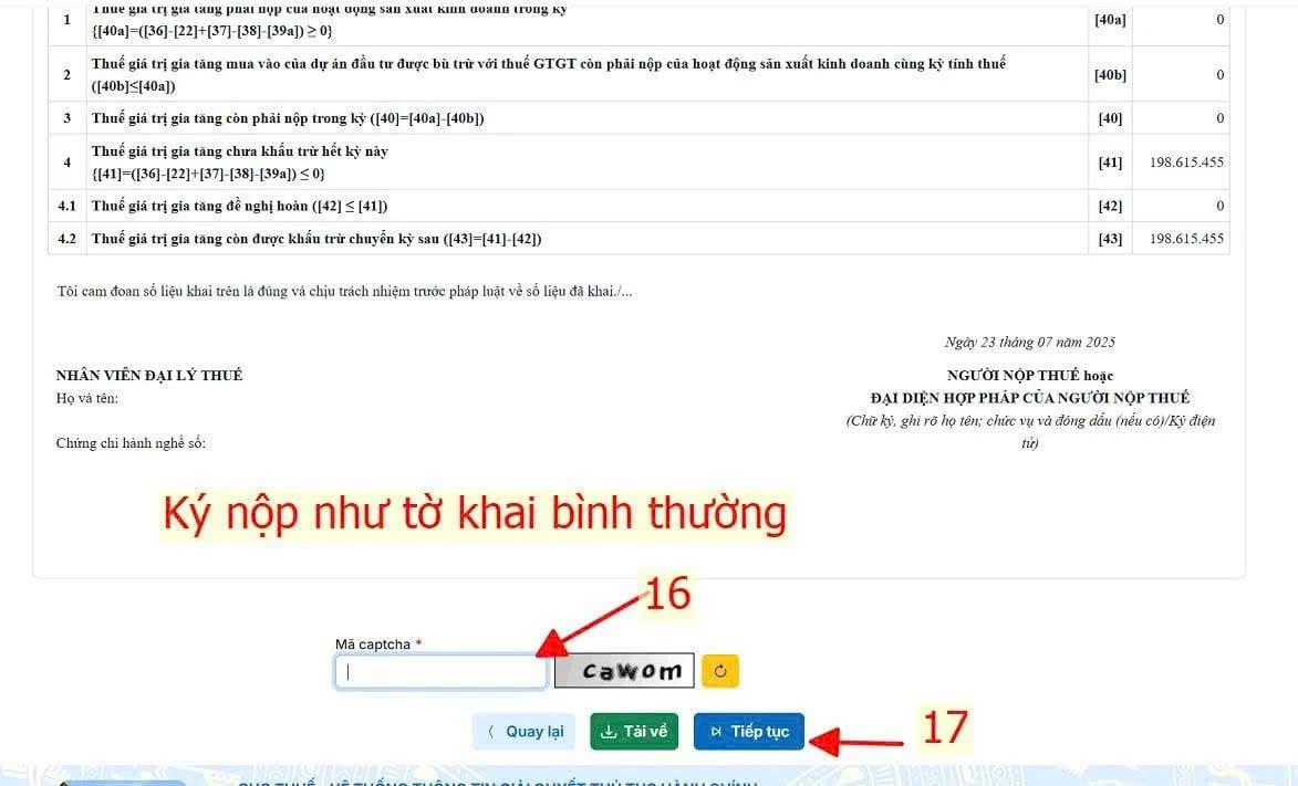 hình 5