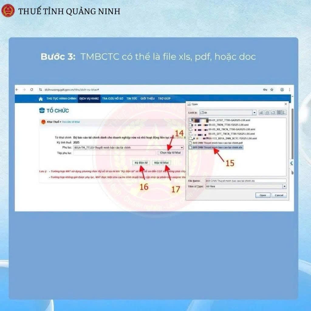 nộp bctc