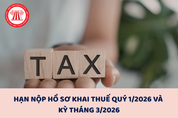 Hạn nộp hồ sơ khai thuế quý 1/2026 và kỳ tháng 3/2026
