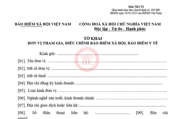 tờ khai tk3-ts