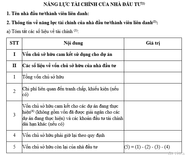 mẫu kê khai năng lực tài chính