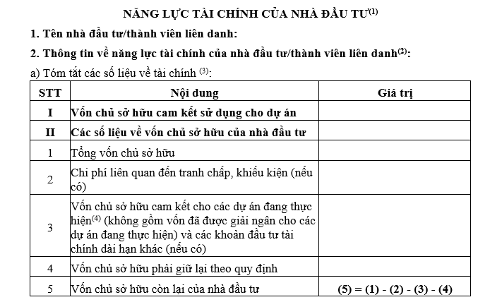 mẫu kê khai năng lực tài chính