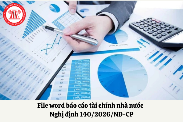 file word báo cáo tài chính nhà nước