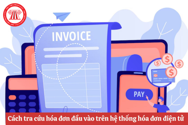 Cách tra cứu hóa đơn đầu vào 2026