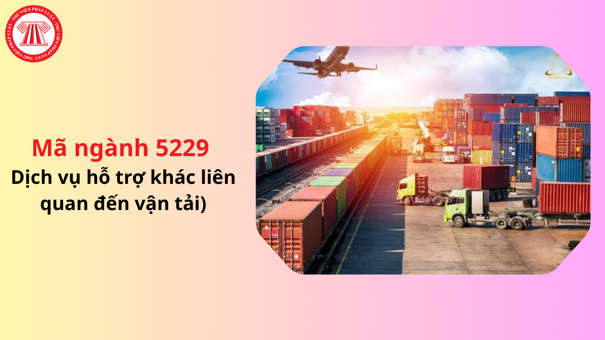 Mã ngành 5229 dịch vụ hỗ trợ khác liên quan đến vận tải theo Quyết định 36/2025/QĐ-TTg