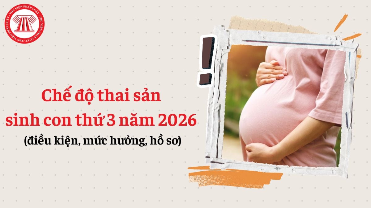 Chế độ thai sản sinh con thứ 3 năm 2026 (điều kiện, mức hưởng, hồ sơ)