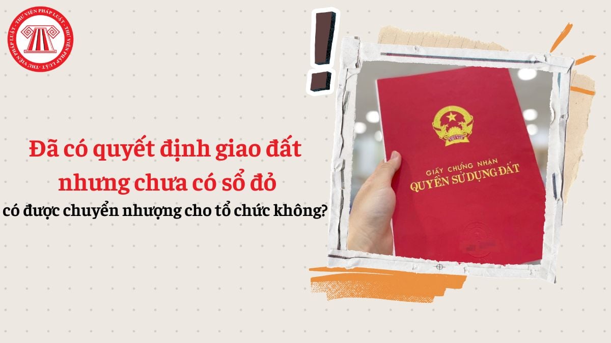 Đã có quyết định giao đất nhưng chưa có sổ đỏ có được chuyển nhượng cho tổ chức không?
