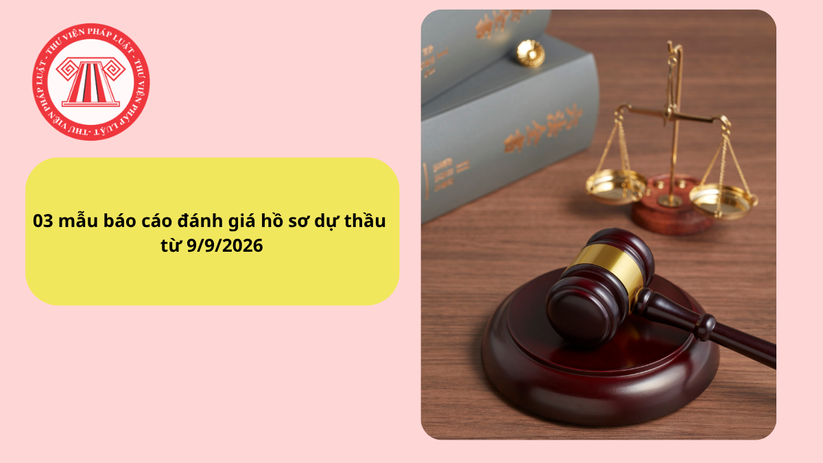 03 mẫu báo cáo đánh giá hồ sơ dự thầu mới nhất từ 9/9/2026