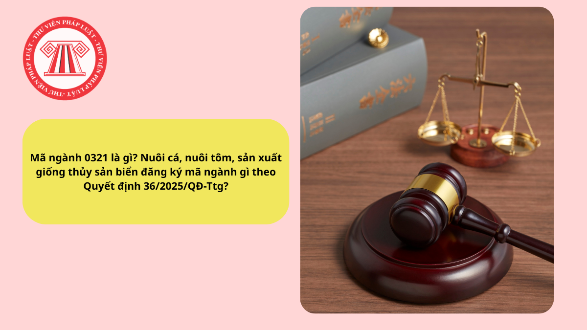 Mã ngành 0321 là gì? Nuôi cá, nuôi tôm, sản xuất giống thủy sản biển đăng ký mã ngành gì theo Quyết định 36/2025/QĐ-Ttg?