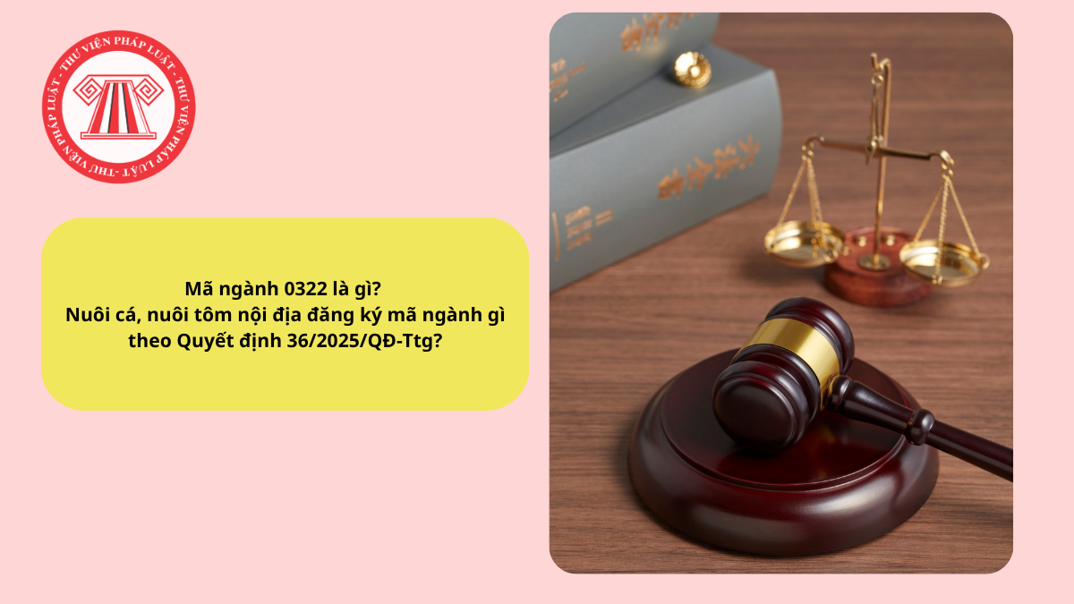 Mã ngành 0322 là gì? Nuôi cá, nuôi tôm nội địa đăng ký mã ngành gì theo Quyết định 36/2025/QĐ-Ttg?