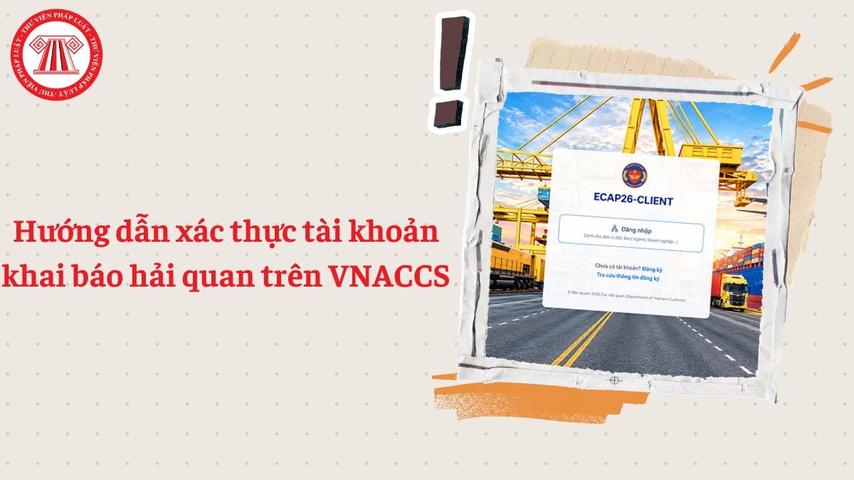 Hướng dẫn xác thực tài khoản khai báo hải quan trên VNACCS
