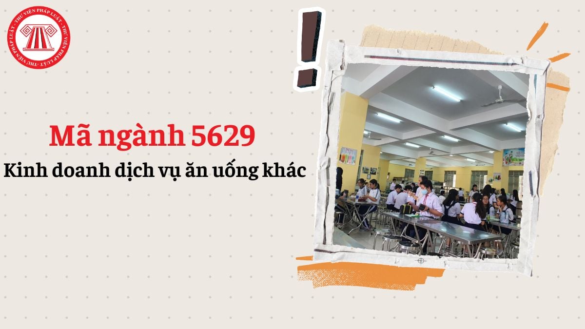 Mã ngành 5629 là gì? Dịch vụ ăn uống khác theo Quyết định 36/2025/QĐ-TTg là gì?
