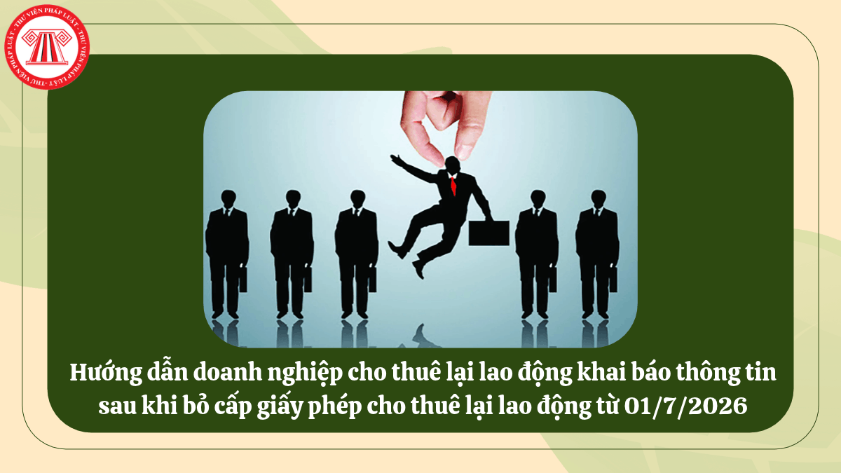 Hướng dẫn doanh nghiệp cho thuê lại lao động khai báo thông tin sau khi bỏ cấp giấy phép cho thuê lại lao động từ 01/7/2026