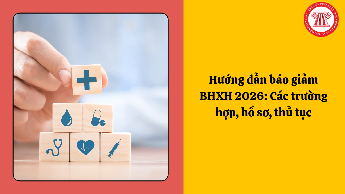 Hướng dẫn báo giảm BHXH 2026: Các trường hợp, hồ sơ, thủ tục