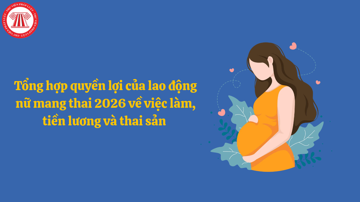 Tổng hợp quyền lợi của lao động nữ mang thai 2026 về việc làm, tiền lương và thai sản