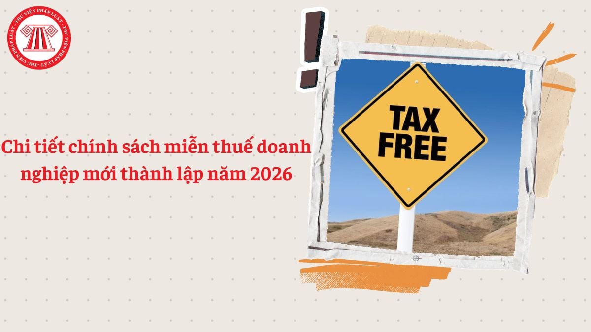 Chi tiết miễn thuế doanh nghiệp mới thành lập 2026 (đối tượng, điều kiện)