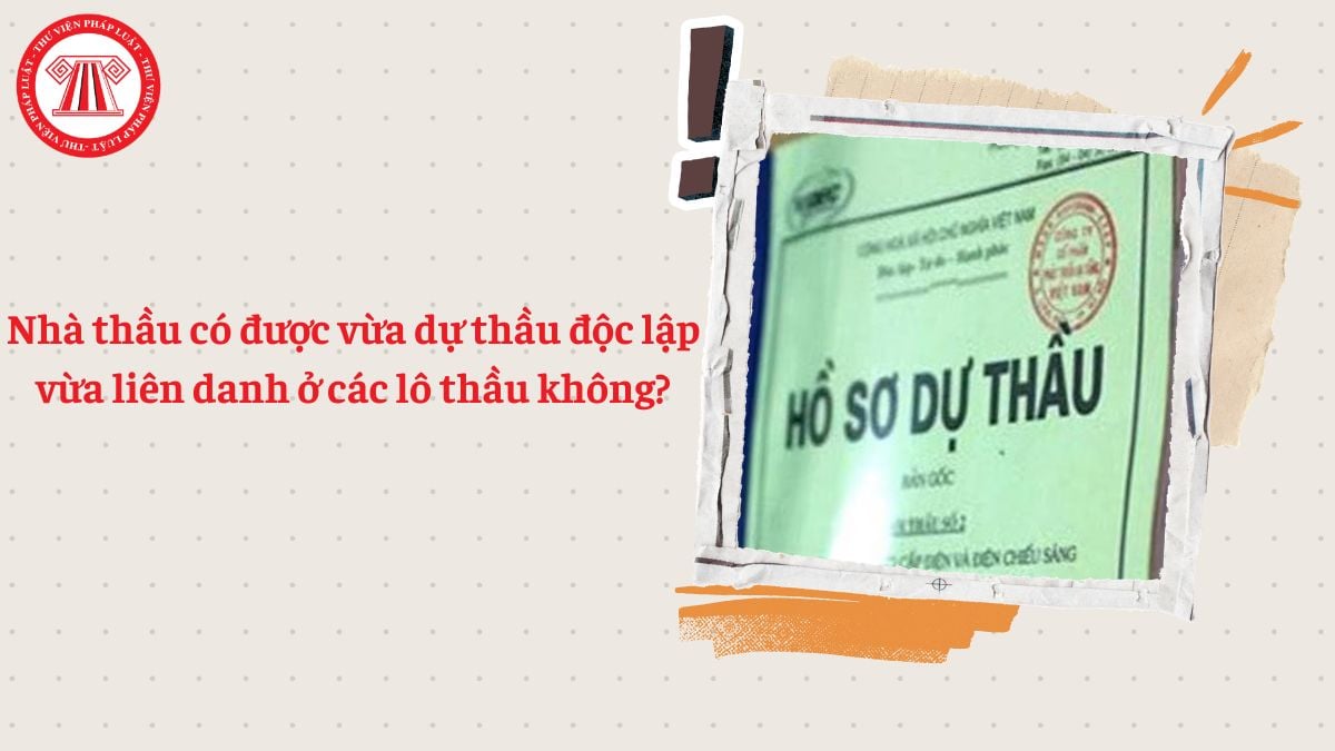Nhà thầu có được vừa dự thầu độc lập vừa liên danh ở các lô thầu không?