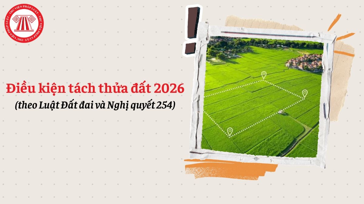 Điều kiện tách thửa đất 2026 theo Luật Đất đai và Nghị quyết 254