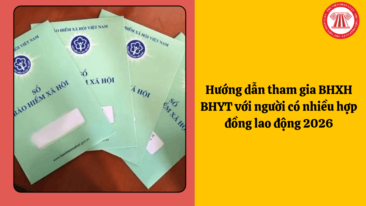 Hướng dẫn tham gia BHXH với người ký nhiều hợp đồng lao động 2026