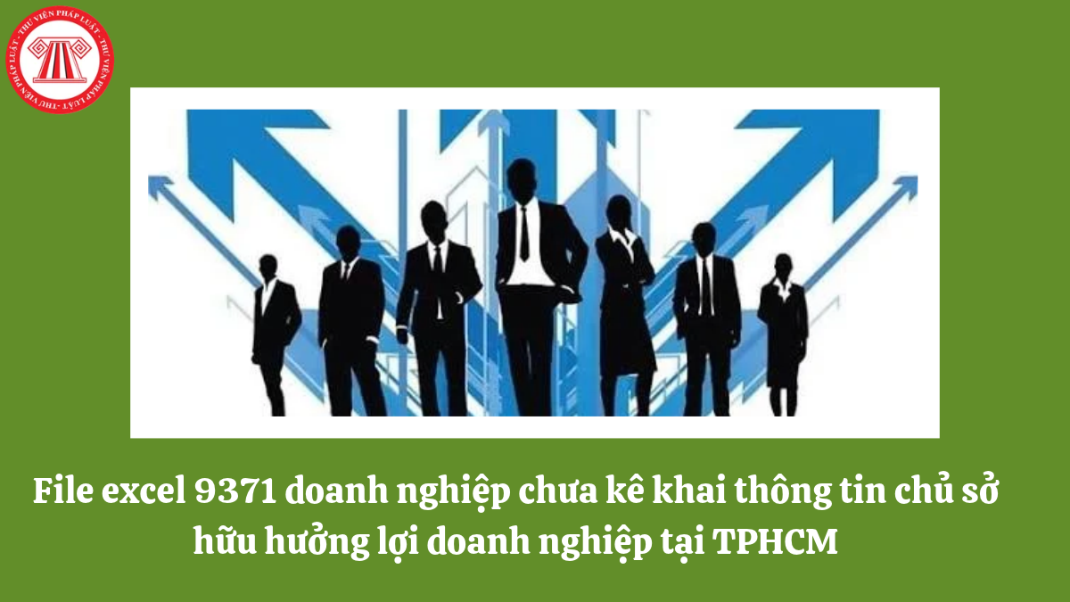 File excel 9371 doanh nghiệp chưa kê khai thông tin chủ sở hữu hưởng lợi doanh nghiệp tại TPHCM