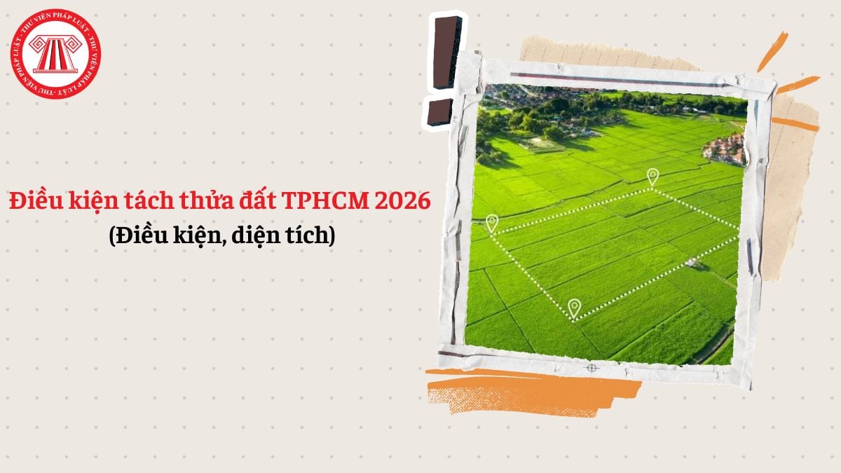Chi tiết điều kiện tách thửa đất TPHCM 2026 (Điều kiện, diện tích)