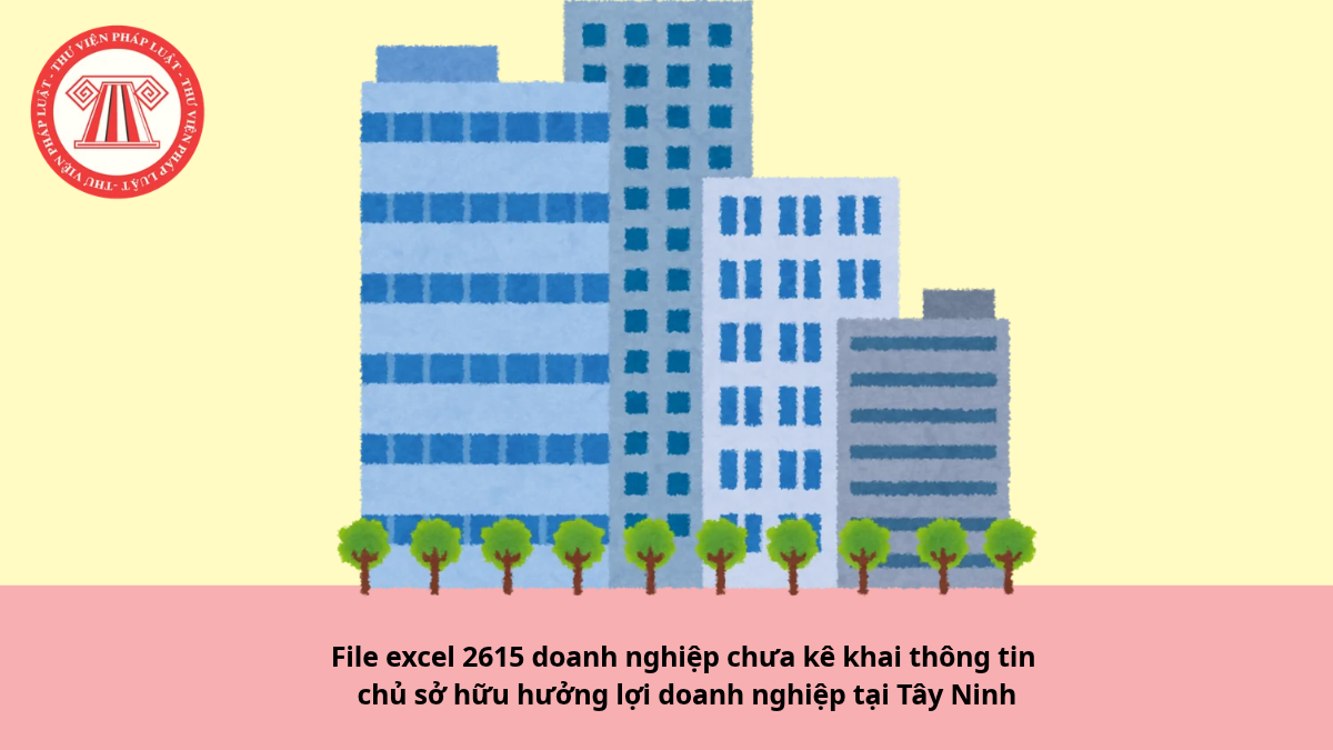 File excel 2615 doanh nghiệp chưa kê khai thông tin chủ sở hữu hưởng lợi doanh nghiệp tại Tây Ninh