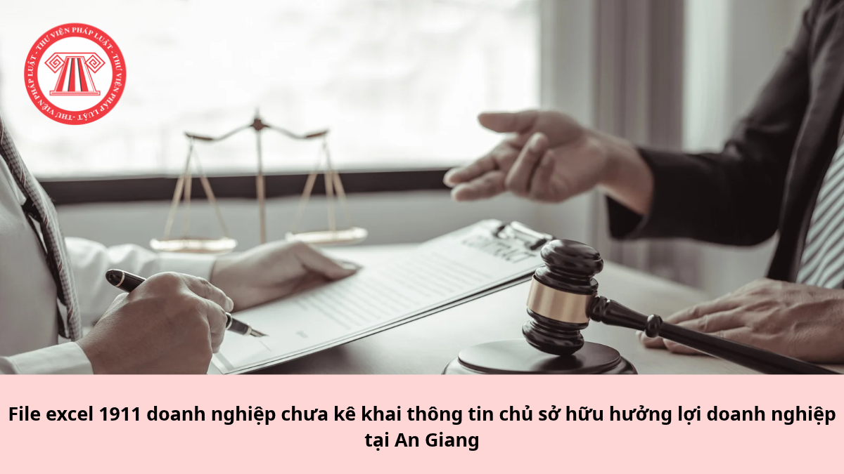 File excel 1911 doanh nghiệp chưa kê khai thông tin chủ sở hữu hưởng lợi doanh nghiệp tại An Giang