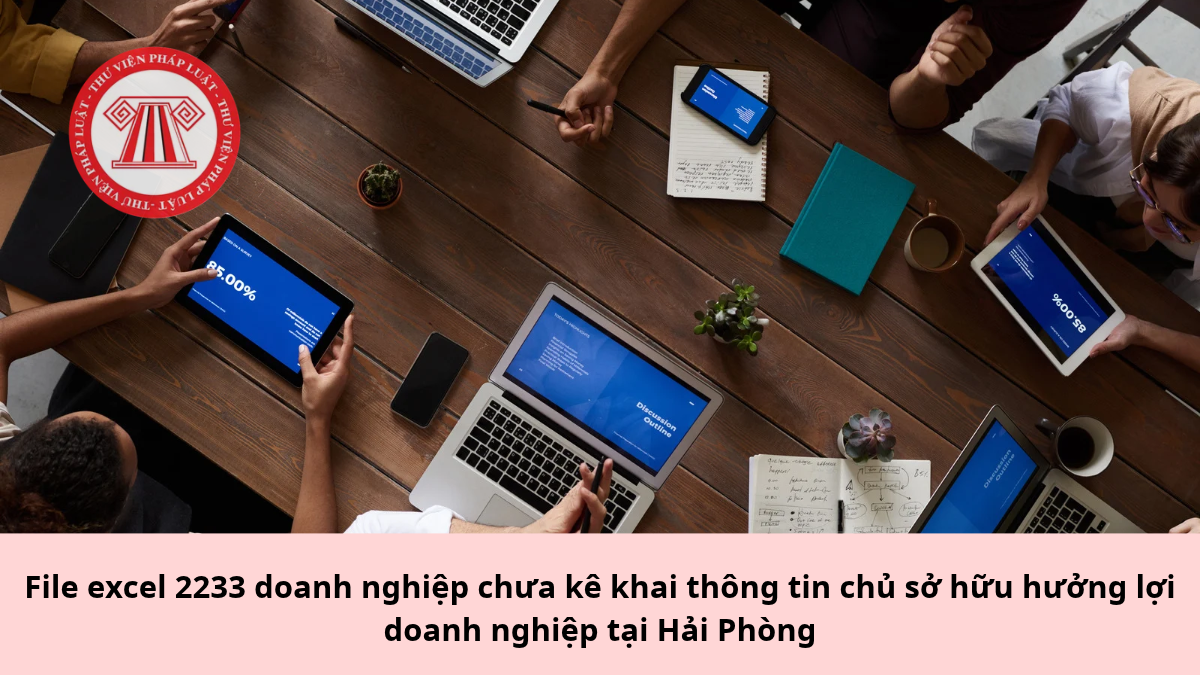 File excel 2233 doanh nghiệp chưa kê khai thông tin chủ sở hữu hưởng lợi doanh nghiệp tại Hải Phòng