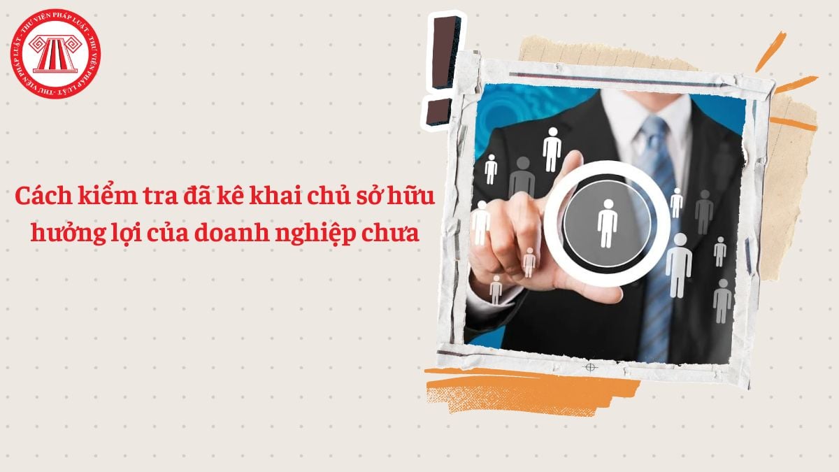 Cách kiểm tra đã kê khai chủ sở hữu hưởng lợi của doanh nghiệp chưa