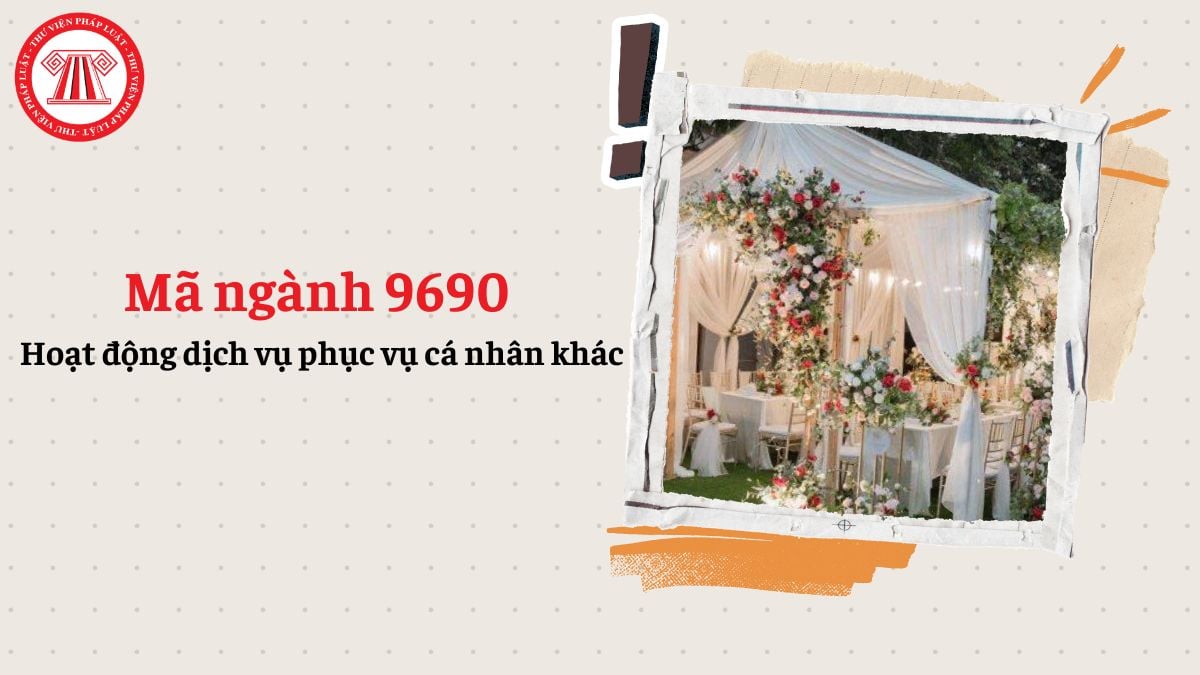 Mã ngành 9690 là gì? Mã ngành hoạt động dịch vụ phục vụ cá nhân khác gồm những gì?