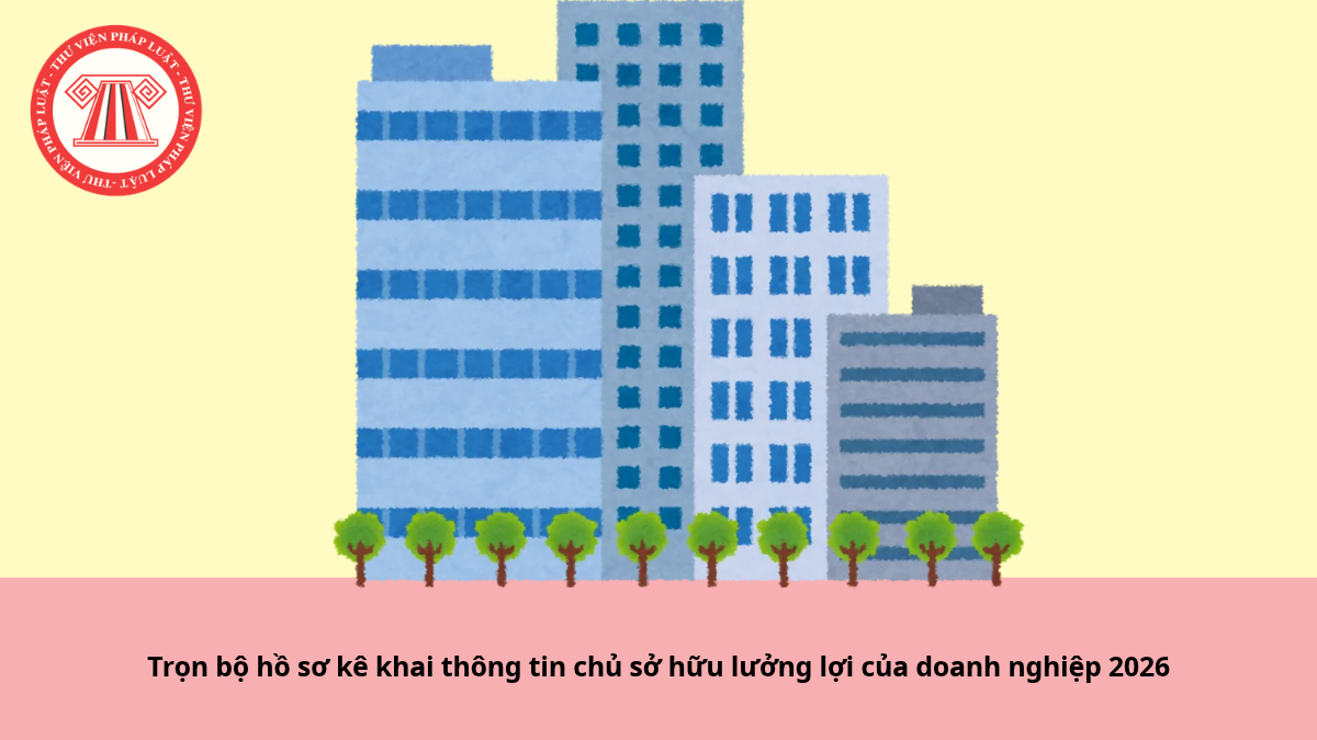 Trọn bộ hồ sơ kê khai thông tin chủ sở hữu lưởng lợi của doanh nghiệp 2026