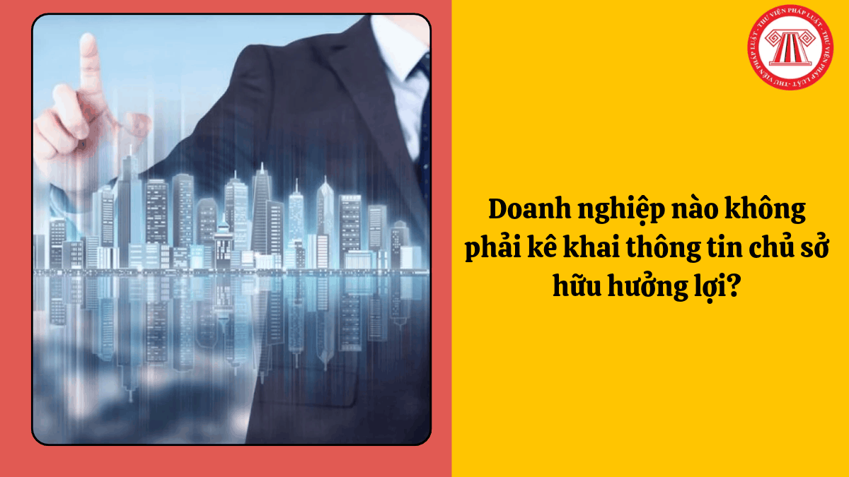 Doanh nghiệp nào không phải kê khai thông tin chủ sở hữu hưởng lợi?