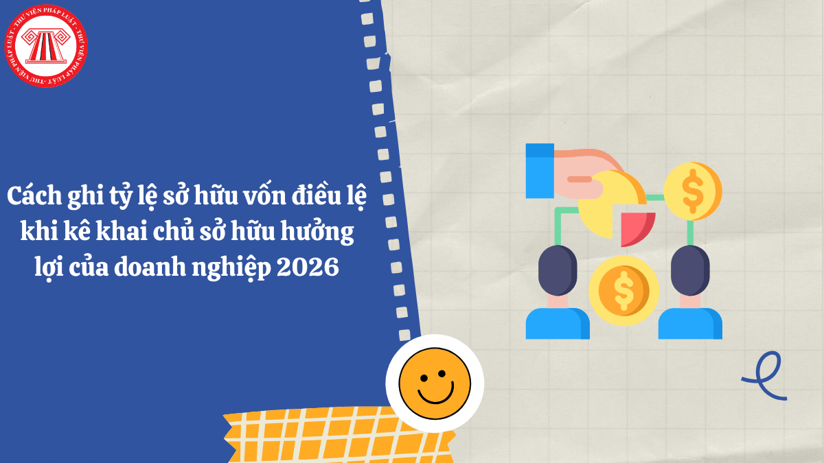 Cách ghi tỷ lệ sở hữu vốn điều lệ khi kê khai chủ sở hữu hưởng lợi của doanh nghiệp 2026
