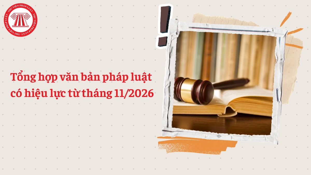 Tổng hợp văn bản pháp luật có hiệu lực từ tháng 11/2026