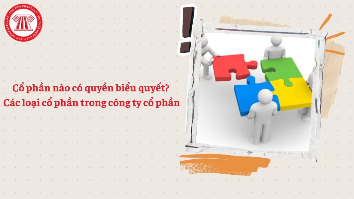 Cổ phần nào có quyền biểu quyết? Các loại cổ phần trong công ty cổ phần