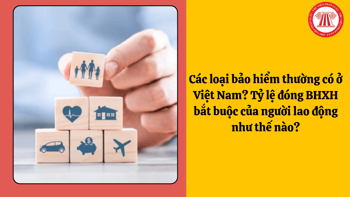 Các loại bảo hiểm thường có ở Việt Nam? Tỷ lệ đóng BHXH bắt buộc của người lao động như thế nào?