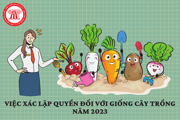 Việc xác lập quyền đối với giống cây trồng năm 2023 được quy định như thế nào?