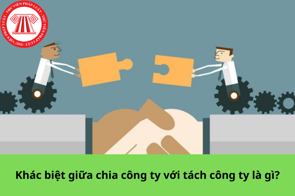 Khác biệt giữa chia công ty với tách công ty là gì?