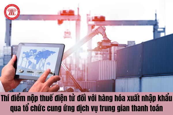 Thí điểm nộp thuế điện tử đối với hàng hóa xuất nhập khẩu qua tổ chức cung ứng dịch vụ trung gian thanh toán