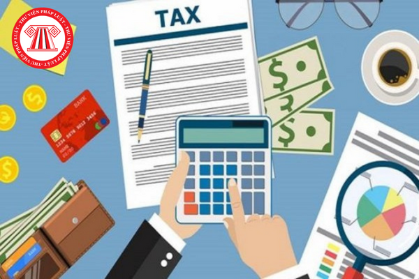 Hướng dẫn lập, trình bày báo cáo tài chính doanh nghiệp nhỏ và vừa 2023 (Phần 21)